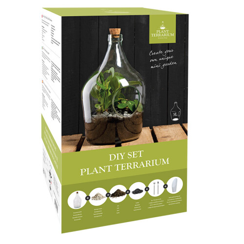DIY Plant Terrarium Set - 3 Litre