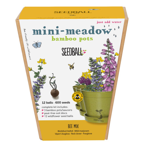 Mini-Meadow Bamboo Pots - Bee Mix